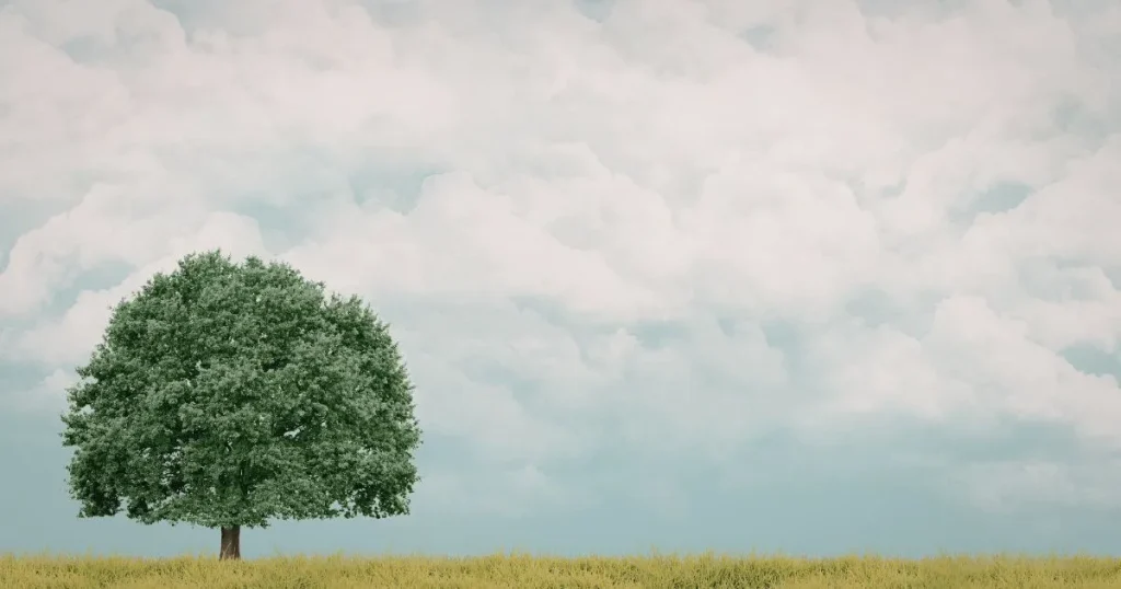 広い空の下に立つ一本の木