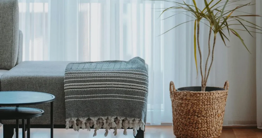 観葉植物と椅子が置かれた静かな室内に差し込む窓の光